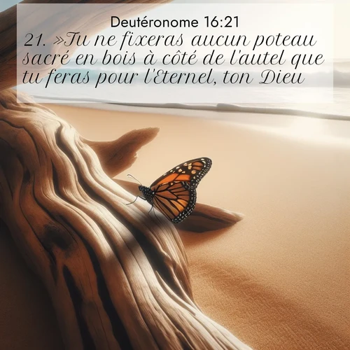 Segond21 Deutéronome  ; image nature: image avec le verset biblique :»Tu ne fixeras aucun poteau sacré en bois à côté de l&#039;autel que tu feras pour l&#039;Eternel, ton Dieu. ;  ; 16:21