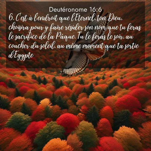 Segond21 Deutéronome  ; image nature: image avec le verset biblique :C&#039;est à l&#039;endroit que l&#039;Eternel, ton Dieu, choisira pour y faire résider son nom que tu feras le sacrifice de la Pâque. Tu le feras le soir, au coucher du soleil, au même moment que ta sortie d&#039;Egypte. ;  ; 16:6