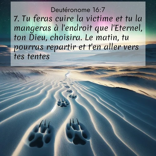 Segond21 Deutéronome  ; image nature: image avec le verset biblique :Tu feras cuire la victime et tu la mangeras à l&#039;endroit que l&#039;Eternel, ton Dieu, choisira. Le matin, tu pourras repartir et t&#039;en aller vers tes tentes. ;  ; 16:7