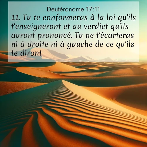 Segond21 Deutéronome  ; image nature: image avec le verset biblique :Tu te conformeras à la loi qu&#039;ils t&#039;enseigneront et au verdict qu&#039;ils auront prononcé. Tu ne t&#039;écarteras ni à droite ni à gauche de ce qu&#039;ils te diront. ;  ; 17:11