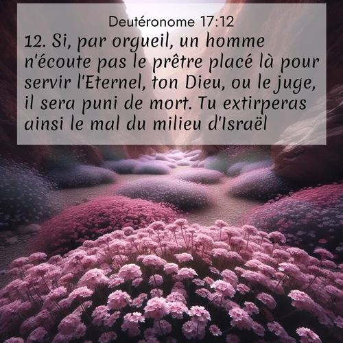 Segond21 Deutéronome  ; image nature: image avec le verset biblique :Si, par orgueil, un homme n&#039;écoute pas le prêtre placé là pour servir l&#039;Eternel, ton Dieu, ou le juge, il sera puni de mort. Tu extirperas ainsi le mal du milieu d&#039;Israël, ;  ; 17:12