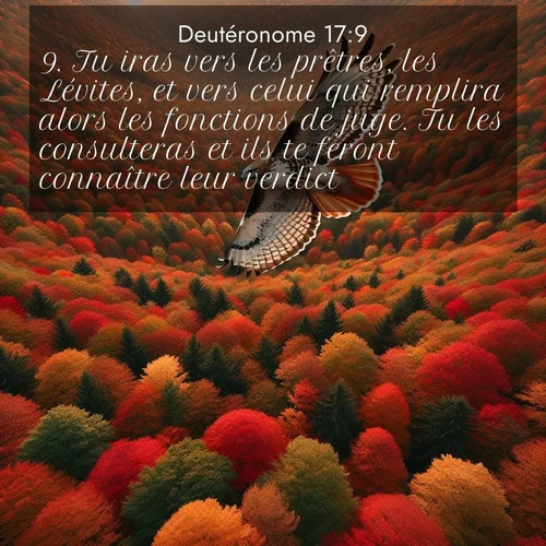 Segond21 Deutéronome  ; image nature: image avec le verset biblique :Tu iras vers les prêtres, les Lévites, et vers celui qui remplira alors les fonctions de juge. Tu les consulteras et ils te feront connaître leur verdict. ;  ; 17:9