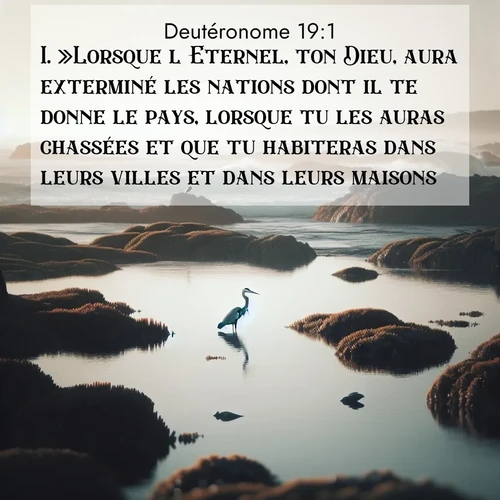 Segond21 Deutéronome  ; image nature: image avec le verset biblique :»Lorsque l&#039;Eternel, ton Dieu, aura exterminé les nations dont il te donne le pays, lorsque tu les auras chassées et que tu habiteras dans leurs villes et dans leurs maisons, ;  ; 19:1