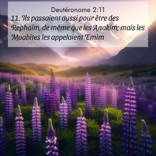 Segond21 Deutéronome  ; image nature: image avec le verset biblique :Ils passaient aussi pour être des Rephaïm, de même que les Anakim; mais les Moabites les appelaient Emim. ;  ; 2:11