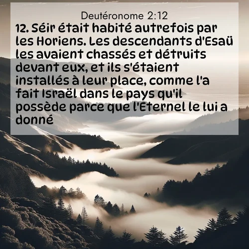 Segond21 Deutéronome  ; image nature: image avec le verset biblique :Séir était habité autrefois par les Horiens. Les descendants d&#039;Esaü les avaient chassés et détruits devant eux, et ils s&#039;étaient installés à leur place, comme l&#039;a fait Israël dans le pays qu&#039;il possède parce que l&#039;Eternel le lui a donné.  ;  ; 2:12