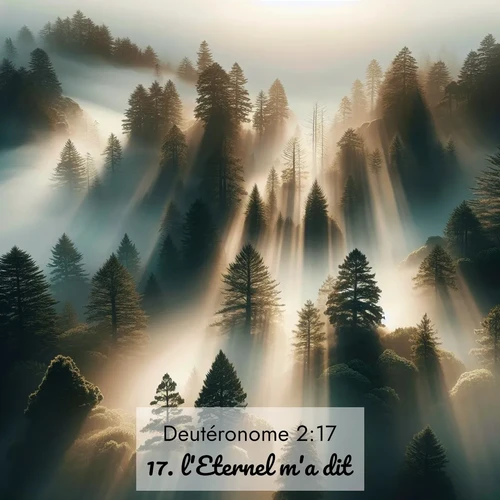Segond21 Deutéronome  ; image nature: image avec le verset biblique :l&#039;Eternel m&#039;a dit: ;  ; 2:17