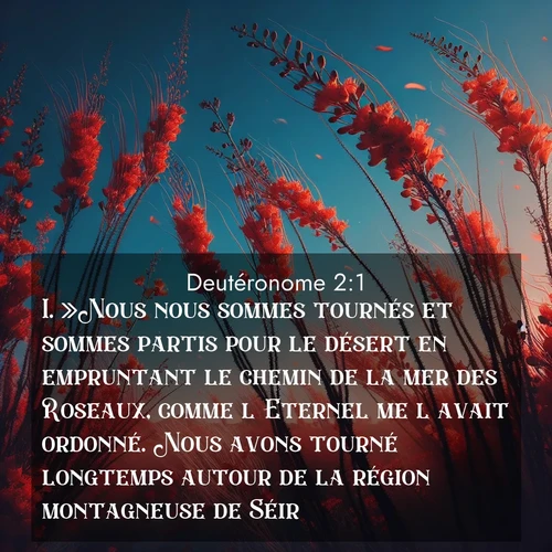 Segond21 Deutéronome  ; image nature: image avec le verset biblique :»Nous nous sommes tournés et sommes partis pour le désert en empruntant le chemin de la mer des Roseaux, comme l&#039;Eternel me l&#039;avait ordonné. Nous avons tourné longtemps autour de la région montagneuse de Séir. ;  ; 2:1
