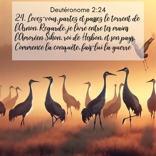 Segond21 Deutéronome  ; image nature: image avec le verset biblique :Levez-vous, partez et passez le torrent de l&#039;Arnon. Regarde, je livre entre tes mains l&#039;Amoréen Sihon, roi de Hesbon, et son pays. Commence la conquête, fais-lui la guerre! ;  ; 2:24
