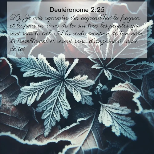 Segond21 Deutéronome  ; image nature: image avec le verset biblique :Je vais répandre dès aujourd&#039;hui la frayeur et la peur vis-à-vis de toi sur tous les peuples qui sont sous le ciel. A la seule mention de ton nom, ils trembleront et seront saisis d&#039;angoisse à cause de toi.&#039; ;  ; 2:25
