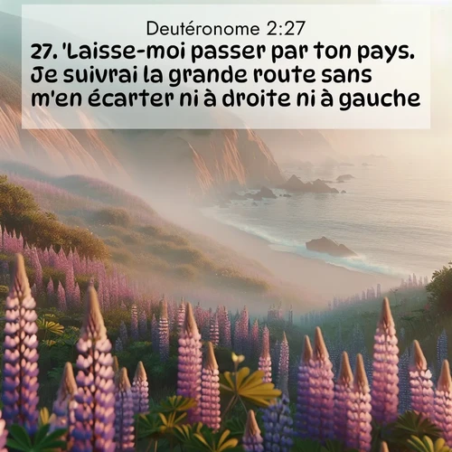 Segond21 Deutéronome  ; image nature: image avec le verset biblique :&#039;Laisse-moi passer par ton pays. Je suivrai la grande route sans m&#039;en écarter ni à droite ni à gauche. ;  ; 2:27