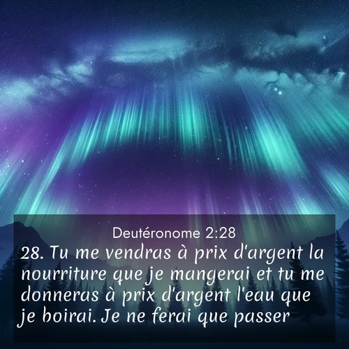 Segond21 Deutéronome  ; image nature: image avec le verset biblique :Tu me vendras à prix d&#039;argent la nourriture que je mangerai et tu me donneras à prix d&#039;argent l&#039;eau que je boirai. Je ne ferai que passer. ;  ; 2:28