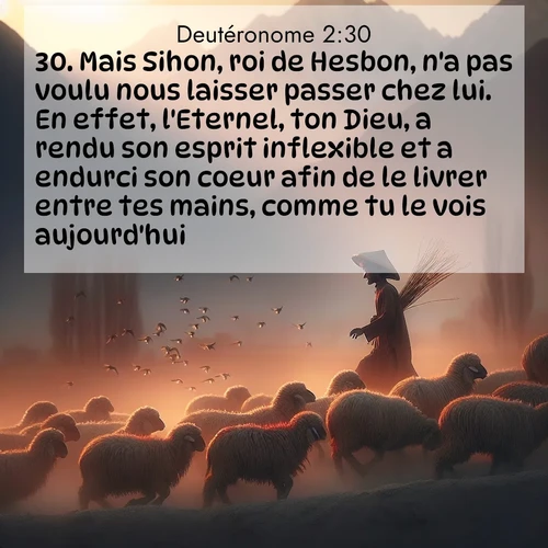 Segond21 Deutéronome  ; image nature: image avec le verset biblique :Mais Sihon, roi de Hesbon, n&#039;a pas voulu nous laisser passer chez lui. En effet, l&#039;Eternel, ton Dieu, a rendu son esprit inflexible et a endurci son coeur afin de le livrer entre tes mains, comme tu le vois aujourd&#039;hui. ;  ; 2:30