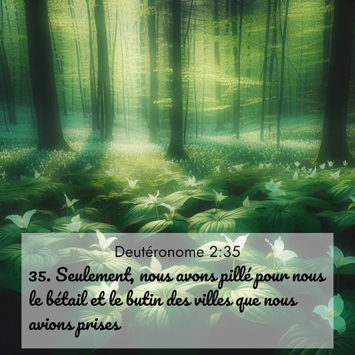 Segond21 Deutéronome  ; image nature: image avec le verset biblique :Seulement, nous avons pillé pour nous le bétail et le butin des villes que nous avions prises. ;  ; 2:35