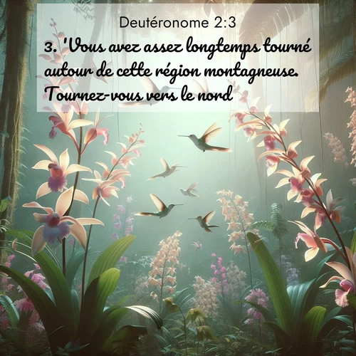 Segond21 Deutéronome  ; image nature: image avec le verset biblique :&#039;Vous avez assez longtemps tourné autour de cette région montagneuse. Tournez-vous vers le nord. ;  ; 2:3