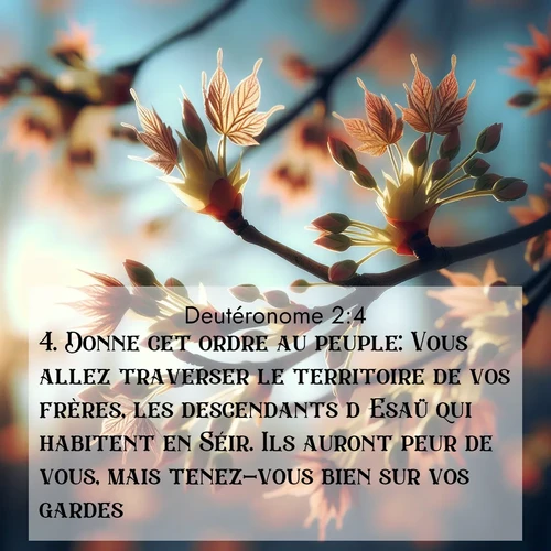 Segond21 Deutéronome  ; image nature: image avec le verset biblique :Donne cet ordre au peuple: Vous allez traverser le territoire de vos frères, les descendants d&#039;Esaü qui habitent en Séir. Ils auront peur de vous, mais tenez-vous bien sur vos gardes. ;  ; 2:4