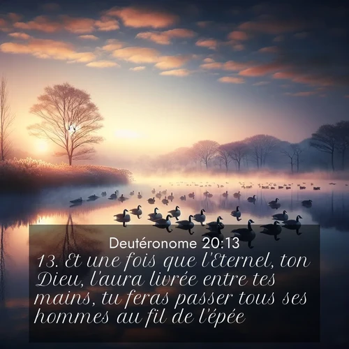 Segond21 Deutéronome  ; image nature: image avec le verset biblique :Et une fois que l&#039;Eternel, ton Dieu, l&#039;aura livrée entre tes mains, tu feras passer tous ses hommes au fil de l&#039;épée. ;  ; 20:13