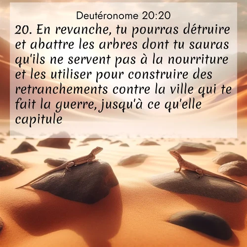 Segond21 Deutéronome  ; image nature: image avec le verset biblique :En revanche, tu pourras détruire et abattre les arbres dont tu sauras qu&#039;ils ne servent pas à la nourriture et les utiliser pour construire des retranchements contre la ville qui te fait la guerre, jusqu&#039;à ce qu&#039;elle capitule. ;  ; 20:20