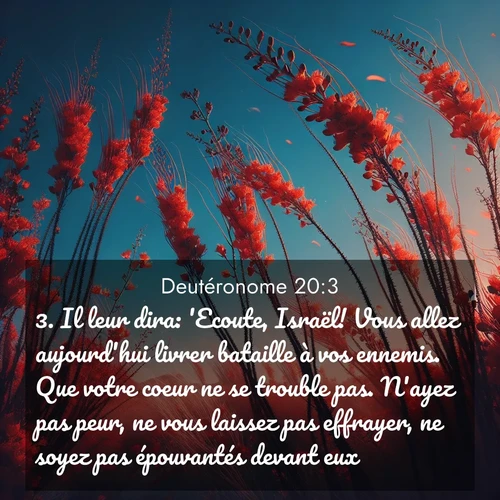 Segond21 Deutéronome  ; image nature: image avec le verset biblique :Il leur dira: &#039;Ecoute, Israël! Vous allez aujourd&#039;hui livrer bataille à vos ennemis. Que votre coeur ne se trouble pas. N&#039;ayez pas peur, ne vous laissez pas effrayer, ne soyez pas épouvantés devant eux, ;  ; 20:3