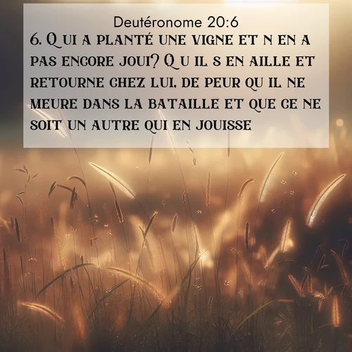 Segond21 Deutéronome  ; image nature: image avec le verset biblique :Qui a planté une vigne et n&#039;en a pas encore joui? Qu&#039;il s&#039;en aille et retourne chez lui, de peur qu&#039;il ne meure dans la bataille et que ce ne soit un autre qui en jouisse. ;  ; 20:6
