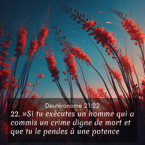 Segond21 Deutéronome  ; image nature: image avec le verset biblique :»Si tu exécutes un homme qui a commis un crime digne de mort et que tu le pendes à une potence, ;  ; 21:22