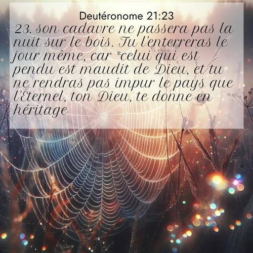 Segond21 Deutéronome  ; image nature: image avec le verset biblique :son cadavre ne passera pas la nuit sur le bois. Tu l&#039;enterreras le jour même, car *celui qui est pendu est maudit de Dieu, et tu ne rendras pas impur le pays que l&#039;Eternel, ton Dieu, te donne en héritage. ;  ; 21:23