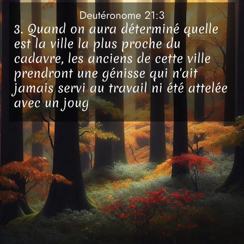 Segond21 Deutéronome  ; image nature: image avec le verset biblique :Quand on aura déterminé quelle est la ville la plus proche du cadavre, les anciens de cette ville prendront une génisse qui n&#039;ait jamais servi au travail ni été attelée avec un joug. ;  ; 21:3