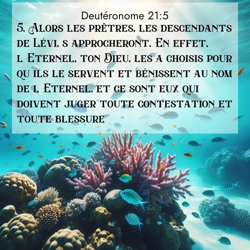 Segond21 Deutéronome  ; image nature: image avec le verset biblique :Alors les prêtres, les descendants de Lévi, s&#039;approcheront. En effet, l&#039;Eternel, ton Dieu, les a choisis pour qu&#039;ils le servent et bénissent au nom de l&#039;Eternel, et ce sont eux qui doivent juger toute contestation et toute blessure. ;  ; 21:5