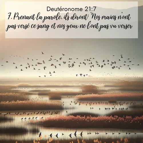 Segond21 Deutéronome  ; image nature: image avec le verset biblique :Prenant la parole, ils diront: &#039;Nos mains n&#039;ont pas versé ce sang et nos yeux ne l&#039;ont pas vu verser. ;  ; 21:7