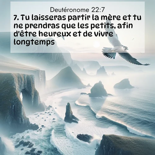 Segond21 Deutéronome  ; image nature: image avec le verset biblique :Tu laisseras partir la mère et tu ne prendras que les petits, afin d&#039;être heureux et de vivre longtemps. ;  ; 22:7