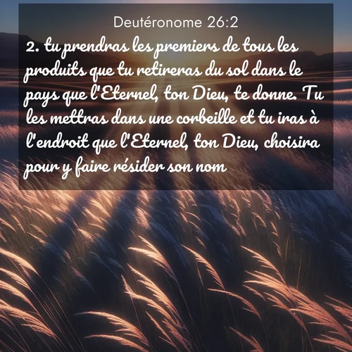 Segond21 Deutéronome  ; image nature: image avec le verset biblique :tu prendras les premiers de tous les produits que tu retireras du sol dans le pays que l&#039;Eternel, ton Dieu, te donne. Tu les mettras dans une corbeille et tu iras à l&#039;endroit que l&#039;Eternel, ton Dieu, choisira pour y faire résider son nom. ;  ; 26:2