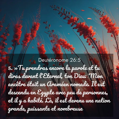 Segond21 Deutéronome  ; image nature: image avec le verset biblique :»Tu prendras encore la parole et tu diras devant l&#039;Eternel, ton Dieu: &#039;Mon ancêtre était un Araméen nomade. Il est descendu en Egypte avec peu de personnes, et il y a habité. Là, il est devenu une nation grande, puissante et nombreuse. ;  ; 26:5