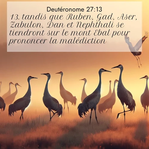 Segond21 Deutéronome  ; image nature: image avec le verset biblique :tandis que Ruben, Gad, Aser, Zabulon, Dan et Nephthali se tiendront sur le mont Ebal pour prononcer la malédiction. ;  ; 27:13