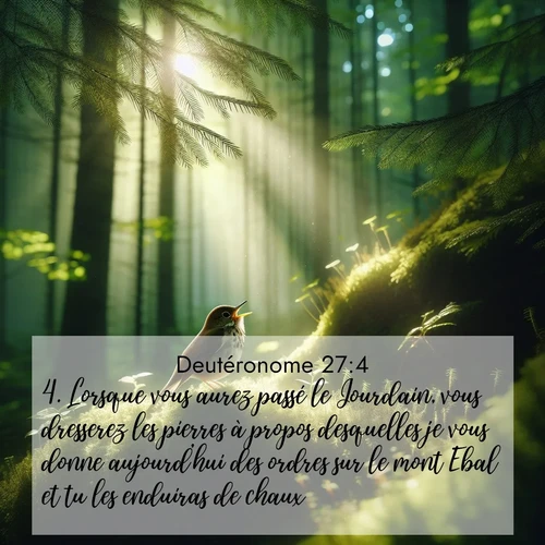Segond21 Deutéronome  ; image nature: image avec le verset biblique :Lorsque vous aurez passé le Jourdain, vous dresserez les pierres à propos desquelles je vous donne aujourd&#039;hui des ordres sur le mont Ebal et tu les enduiras de chaux. ;  ; 27:4