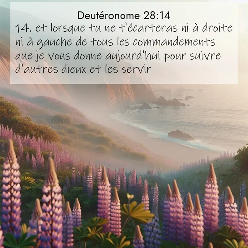 Segond21 Deutéronome  ; image nature: image avec le verset biblique :et lorsque tu ne t&#039;écarteras ni à droite ni à gauche de tous les commandements que je vous donne aujourd&#039;hui pour suivre d&#039;autres dieux et les servir. ;  ; 28:14