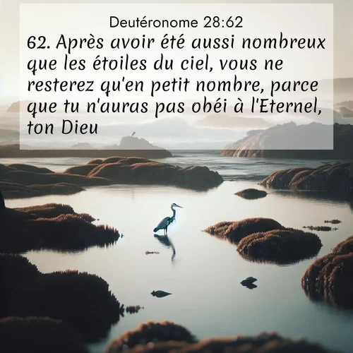 Segond21 Deutéronome  ; image nature: image avec le verset biblique :Après avoir été aussi nombreux que les étoiles du ciel, vous ne resterez qu&#039;en petit nombre, parce que tu n&#039;auras pas obéi à l&#039;Eternel, ton Dieu. ;  ; 28:62