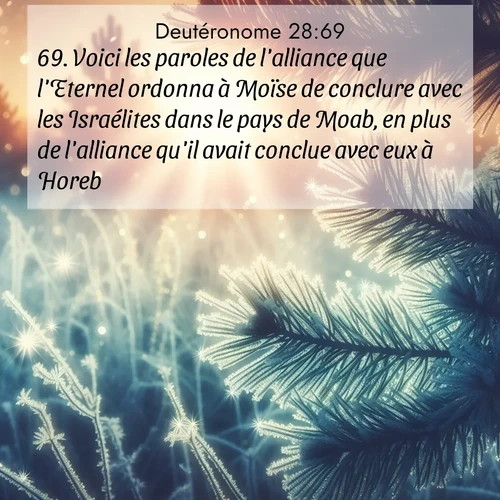 Segond21 Deutéronome  ; image nature: image avec le verset biblique :Voici les paroles de l&#039;alliance que l&#039;Eternel ordonna à Moïse de conclure avec les Israélites dans le pays de Moab, en plus de l&#039;alliance qu&#039;il avait conclue avec eux à Horeb. ;  ; 28:69