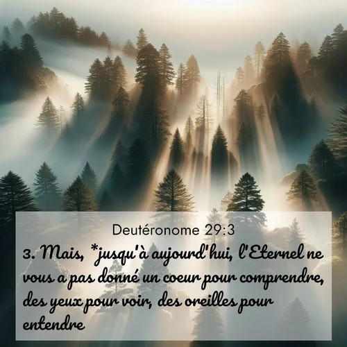 Segond21 Deutéronome  ; image nature: image avec le verset biblique :Mais, *jusqu&#039;à aujourd&#039;hui, l&#039;Eternel ne vous a pas donné un coeur pour comprendre, des yeux pour voir, des oreilles pour entendre. ;  ; 29:3