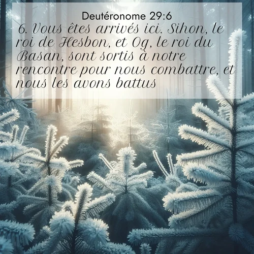 Segond21 Deutéronome  ; image nature: image avec le verset biblique :Vous êtes arrivés ici. Sihon, le roi de Hesbon, et Og, le roi du Basan, sont sortis à notre rencontre pour nous combattre, et nous les avons battus. ;  ; 29:6