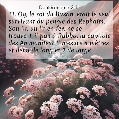 Segond21 Deutéronome  ; image nature: image avec le verset biblique :Og, le roi du Basan, était le seul survivant du peuple des Rephaïm. Son lit, un lit en fer, ne se trouve-t-il pas à Rabba, la capitale des Ammonites? Il mesure 4 mètres et demi de long et 2 de large. ;  ; 3:11