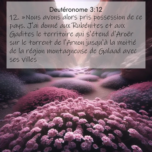 Segond21 Deutéronome  ; image nature: image avec le verset biblique :»Nous avons alors pris possession de ce pays. J&#039;ai donné aux Rubénites et aux Gadites le territoire qui s&#039;étend d&#039;Aroër sur le torrent de l&#039;Arnon jusqu&#039;à la moitié de la région montagneuse de Galaad avec ses villes. ;  ; 3:12