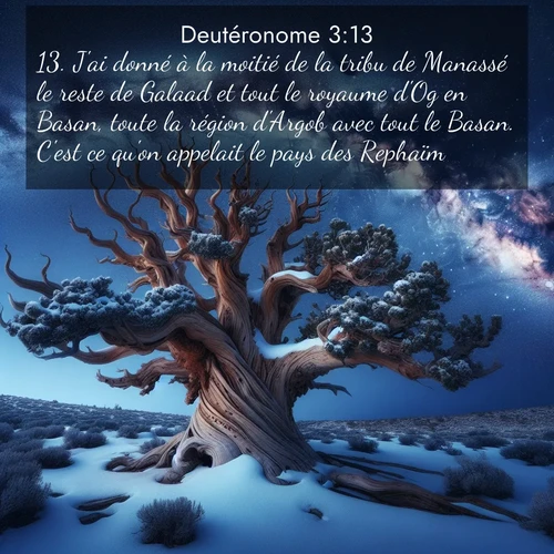 Segond21 Deutéronome  ; image nature: image avec le verset biblique :J&#039;ai donné à la moitié de la tribu de Manassé le reste de Galaad et tout le royaume d&#039;Og en Basan, toute la région d&#039;Argob avec tout le Basan. C&#039;est ce qu&#039;on appelait le pays des Rephaïm. ;  ; 3:13