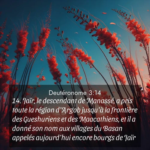 Segond21 Deutéronome  ; image nature: image avec le verset biblique :Jaïr, le descendant de Manassé, a pris toute la région d&#039;Argob jusqu&#039;à la frontière des Gueshuriens et des Maacathiens, et il a donné son nom aux villages du Basan appelés aujourd&#039;hui encore bourgs de Jaïr. ;  ; 3:14