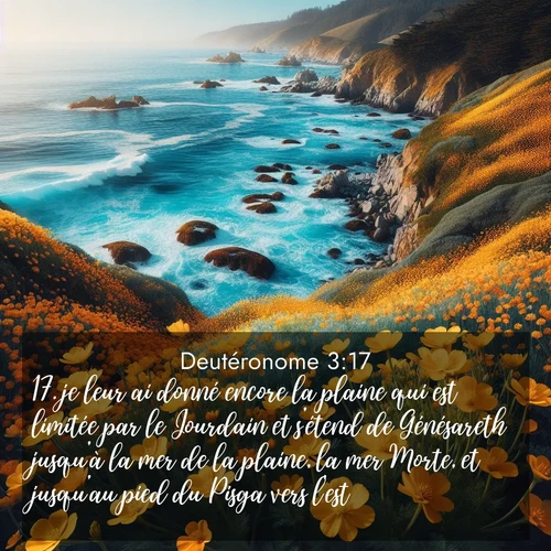 Segond21 Deutéronome  ; image nature: image avec le verset biblique :je leur ai donné encore la plaine qui est limitée par le Jourdain et s&#039;étend de Génésareth jusqu&#039;à la mer de la plaine, la mer Morte, et jusqu&#039;au pied du Pisga vers l&#039;est. ;  ; 3:17
