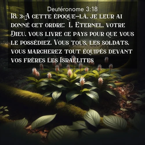 Segond21 Deutéronome  ; image nature: image avec le verset biblique :»A cette époque-là, je leur ai donné cet ordre: &#039;L&#039;Eternel, votre Dieu, vous livre ce pays pour que vous le possédiez. Vous tous, les soldats, vous marcherez tout équipés devant vos frères les Israélites. ;  ; 3:18