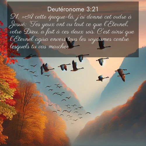 Segond21 Deutéronome  ; image nature: image avec le verset biblique :»A cette époque-là, j&#039;ai donné cet ordre à Josué: &#039;Tes yeux ont vu tout ce que l&#039;Eternel, votre Dieu, a fait à ces deux rois. C&#039;est ainsi que l&#039;Eternel agira envers tous les royaumes contre lesquels tu vas marcher. ;  ; 3:21