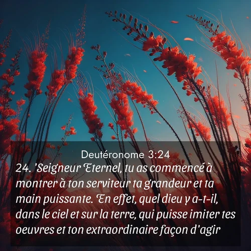 Segond21 Deutéronome  ; image nature: image avec le verset biblique :&#039;Seigneur Eternel, tu as commencé à montrer à ton serviteur ta grandeur et ta main puissante. En effet, quel dieu y a-t-il, dans le ciel et sur la terre, qui puisse imiter tes oeuvres et ton extraordinaire façon d&#039;agir? ;  ; 3:24