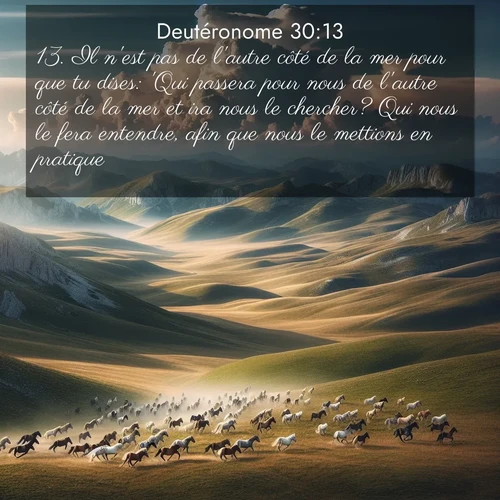 Segond21 Deutéronome  ; image nature: image avec le verset biblique :Il n&#039;est pas de l&#039;autre côté de la mer pour que tu dises: &#039;Qui passera pour nous de l&#039;autre côté de la mer et ira nous le chercher? Qui nous le fera entendre, afin que nous le mettions en pratique?&#039; ;  ; 30:13