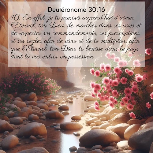 Segond21 Deutéronome  ; image nature: image avec le verset biblique :En effet, je te prescris aujourd&#039;hui d&#039;aimer l&#039;Eternel, ton Dieu, de marcher dans ses voies et de respecter ses commandements, ses prescriptions et ses règles afin de vivre et de te multiplier, afin que l&#039;Eternel, ton Dieu, te bénisse dans le pays dont tu vas entrer en possession. ;  ; 30:16