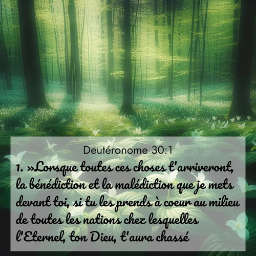 Segond21 Deutéronome  ; image nature: image avec le verset biblique :»Lorsque toutes ces choses t&#039;arriveront, la bénédiction et la malédiction que je mets devant toi, si tu les prends à coeur au milieu de toutes les nations chez lesquelles l&#039;Eternel, ton Dieu, t&#039;aura chassé, ;  ; 30:1