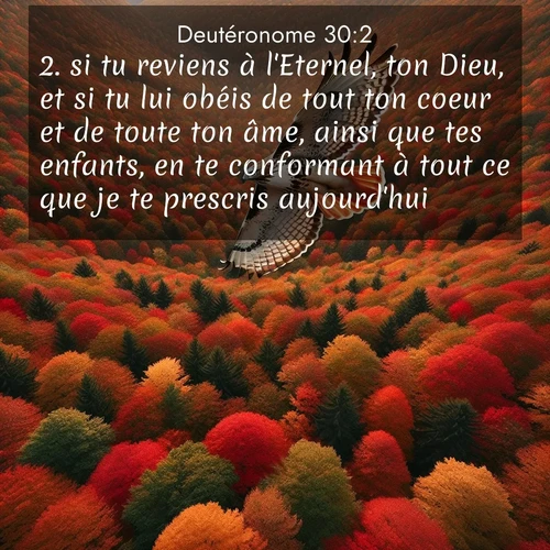 Segond21 Deutéronome  ; image nature: image avec le verset biblique :si tu reviens à l&#039;Eternel, ton Dieu, et si tu lui obéis de tout ton coeur et de toute ton âme, ainsi que tes enfants, en te conformant à tout ce que je te prescris aujourd&#039;hui, ;  ; 30:2